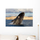 Southern Right Whale Breaching Wall Decal Design 5
