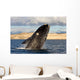 Southern Right Whale Breaching Wall Decal Design 5
