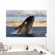 Southern Right Whale Breaching Wall Decal Design 5