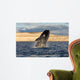Southern Right Whale Breaching Wall Decal Design 4
