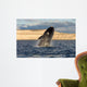 Southern Right Whale Breaching Wall Decal Design 4