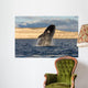 Southern Right Whale Breaching Wall Decal Design 4