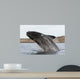 Southern Right Whale Breaching Wall Decal Design 3