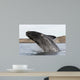 Southern Right Whale Breaching Wall Decal Design 3