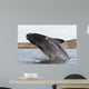 Southern Right Whale Breaching Wall Decal Design 3