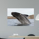 Southern Right Whale Breaching Wall Decal Design 3