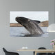 Southern Right Whale Breaching Wall Decal Design 3