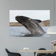 Southern Right Whale Breaching Wall Decal Design 3
