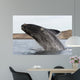 Southern Right Whale Breaching Wall Decal Design 3