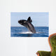 Southern Right Whale Breaching Wall Decal Design 2
