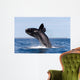 Southern Right Whale Breaching Wall Decal Design 2