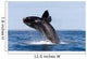 Southern Right Whale Breaching Wall Decal Design 2