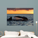 Tail Fluke Southern Right Wall Decal Design 10