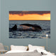 Tail Fluke Southern Right Wall Decal Design 10