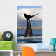 Tail Fluke Southern Right Wall Decal Design 9