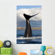 Tail Fluke Southern Right Wall Decal Design 9