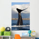 Tail Fluke Southern Right Wall Decal Design 9