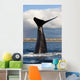 Tail Fluke Southern Right Wall Decal Design 9