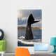 Tail Fluke Southern Right Wall Decal Design 8