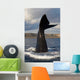 Tail Fluke Southern Right Wall Decal Design 8
