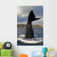 Tail Fluke Southern Right Wall Decal Design 8