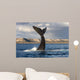 Tail Fluke Southern Right Wall Decal Design 7