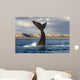 Tail Fluke Southern Right Wall Decal Design 7