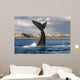 Tail Fluke Southern Right Wall Decal Design 7