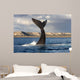 Tail Fluke Southern Right Wall Decal Design 7