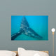 Tail Fluke Southern Right Wall Decal Design 6