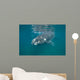 Southern Right Whale with Wall Decal Design 2
