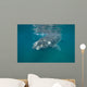 Southern Right Whale with Wall Decal Design 2
