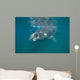 Southern Right Whale with Wall Decal Design 2