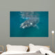 Southern Right Whale with Wall Decal Design 2
