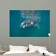 Southern Right Whale with Wall Decal Design 2