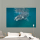 Southern Right Whale with Wall Decal Design 2