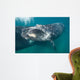 Southern Right Whale Calf Wall Decal Design 4