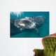 Southern Right Whale Calf Wall Decal Design 4