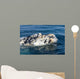 Close-up Head White Calf Wall Decal