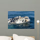 Close-up Head White Calf Wall Decal