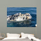 Close-up Head White Calf Wall Decal