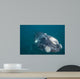 Southern Right Whale Argentina Wall Decal