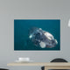 Southern Right Whale Argentina Wall Decal
