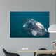Southern Right Whale Argentina Wall Decal