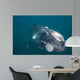 Southern Right Whale Argentina Wall Decal