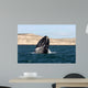 Southern Right Whale Breaching Wall Decal Design 1