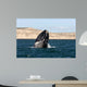 Southern Right Whale Breaching Wall Decal Design 1