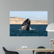 Southern Right Whale Breaching Wall Decal Design 1