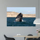 Southern Right Whale Breaching Wall Decal Design 1
