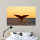 Tail Fluke Southern Right Wall Decal Design 5